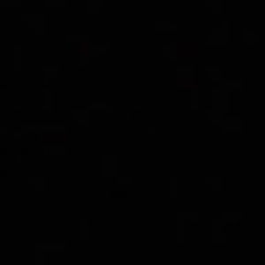 Meet your Posher, Brady